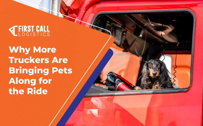 why-more-truckers-are-bringing-pets-along-for-the-ride-blog-hero-image-700x436px