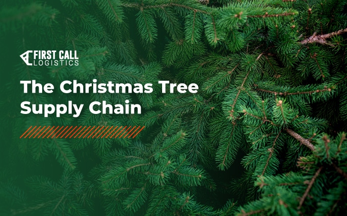 The Christmas Tree Supply Chain
