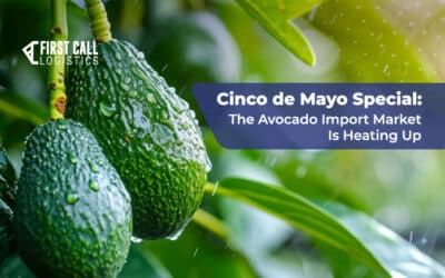 Cinco de Mayo Special: The Avocado Import Market Is Heating Up