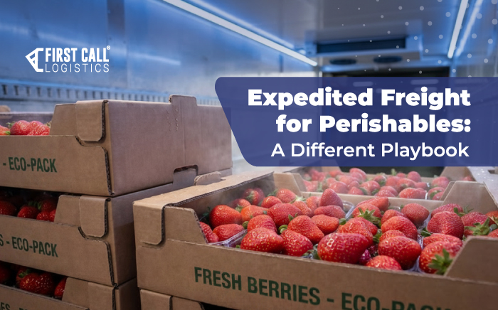 Fresh strawberries in eco-pack boxes inside a refrigerated trailer